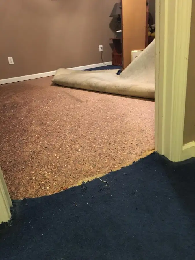 Carpet pad removal revealing water damage during Drying & Dehumidification in New York