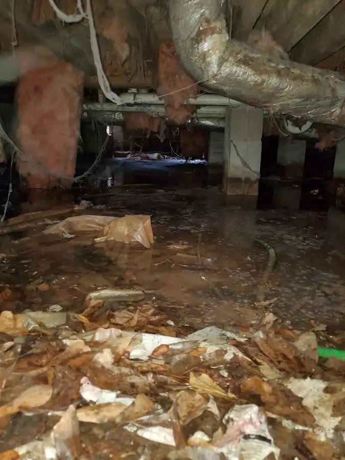 Crawl space flood assessment for Leak Detection & Repair in New York